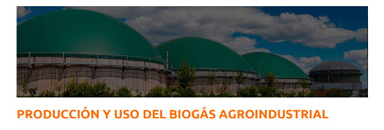 PRODUCCIÓN Y USO DEL BIOGÁS AGROINDUSTRIAL (Fechas: del 11 al 12.05.2023)